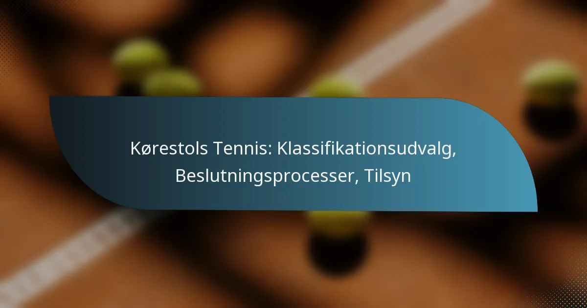 Kørestols Tennis: Klassifikationsudvalg, Beslutningsprocesser, Tilsyn