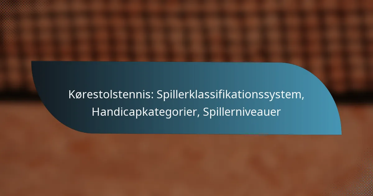 Kørestolstennis: Spillerklassifikationssystem, Handicapkategorier, Spillerniveauer