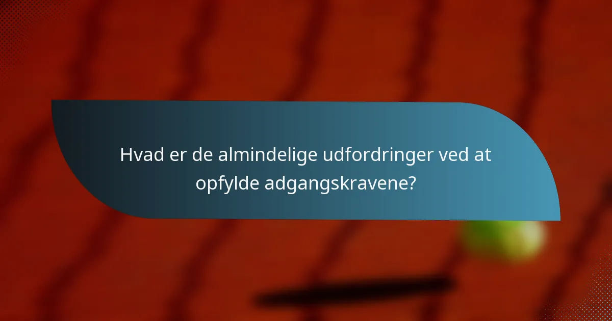 Hvad er de almindelige udfordringer ved at opfylde adgangskravene?